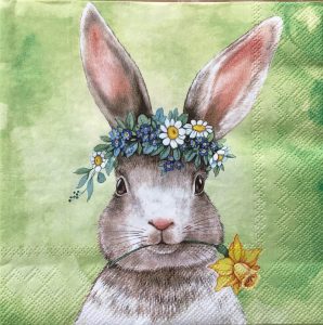 bunny with flowers